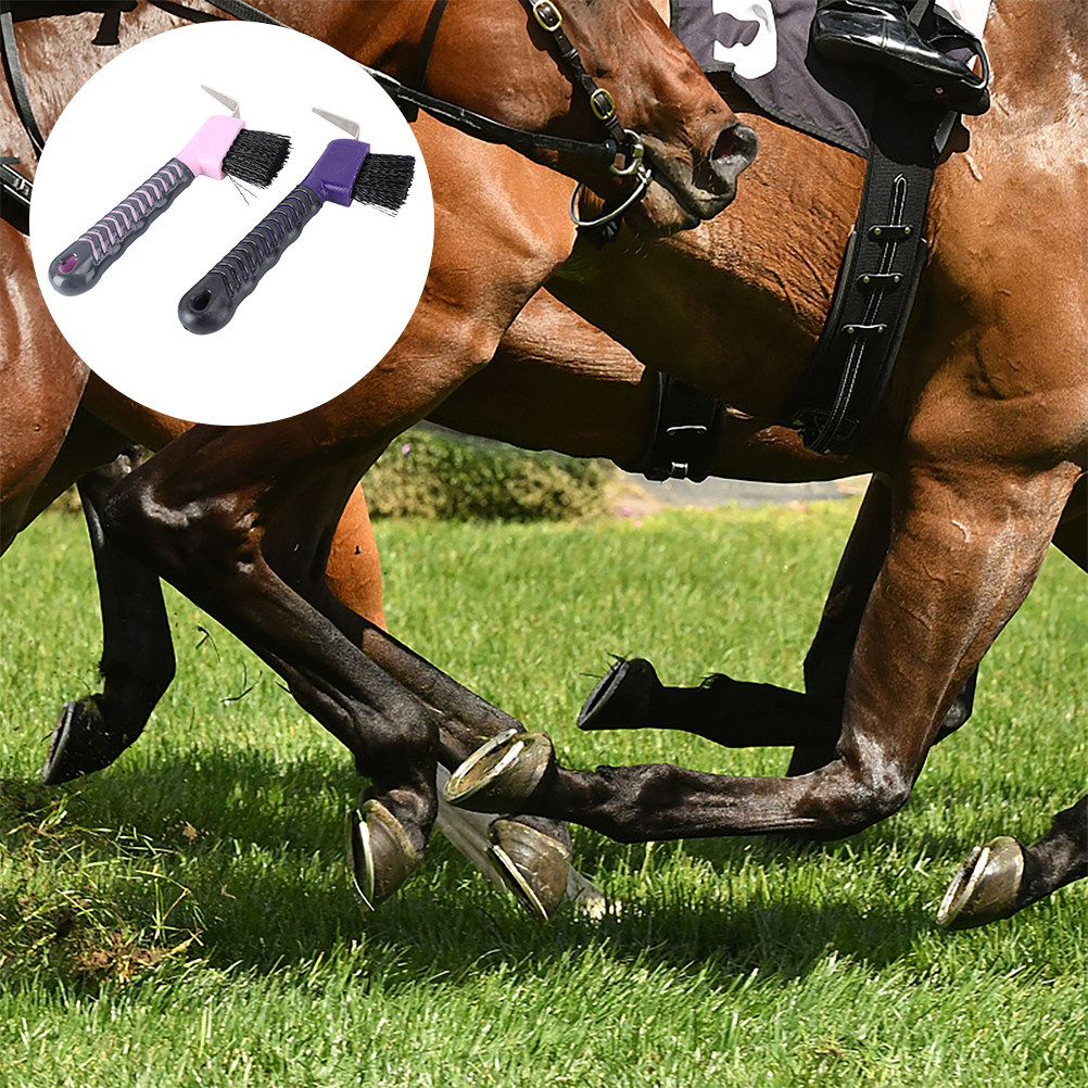 2 個馬蹄ピックブラシ信頼性の高い PP Tpe 素材多機能 - Brushing Boot Horse のレビューと価格