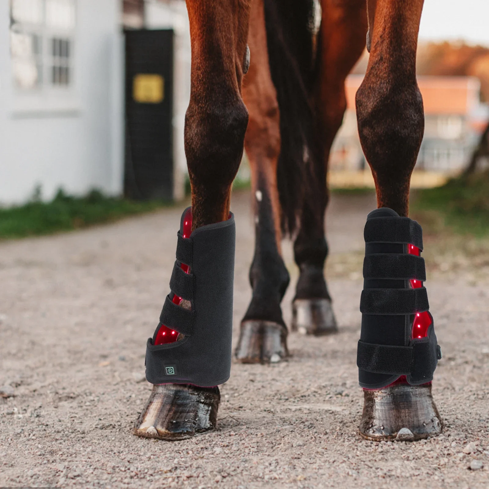 新型660nm 850nm赤色光療法乗馬用品 馬用ブーツ ラ - Brushing Boot Horse のレビューと価格