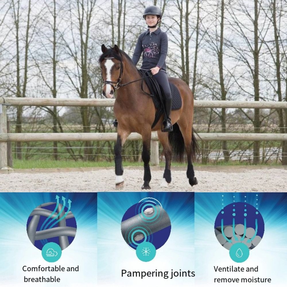 4個セット カラフルな馬用スポーツブーツセット 3サイズ 通 - Brushing Boot Horse のレビューと価格
