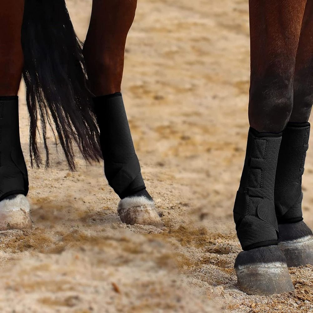 4個セット カラフルな馬用スポーツブーツセット 3サイズ 通 - Brushing Boot Horse のレビューと価格